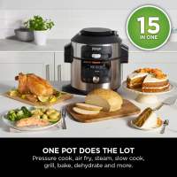 Ninja food pressure 2025
